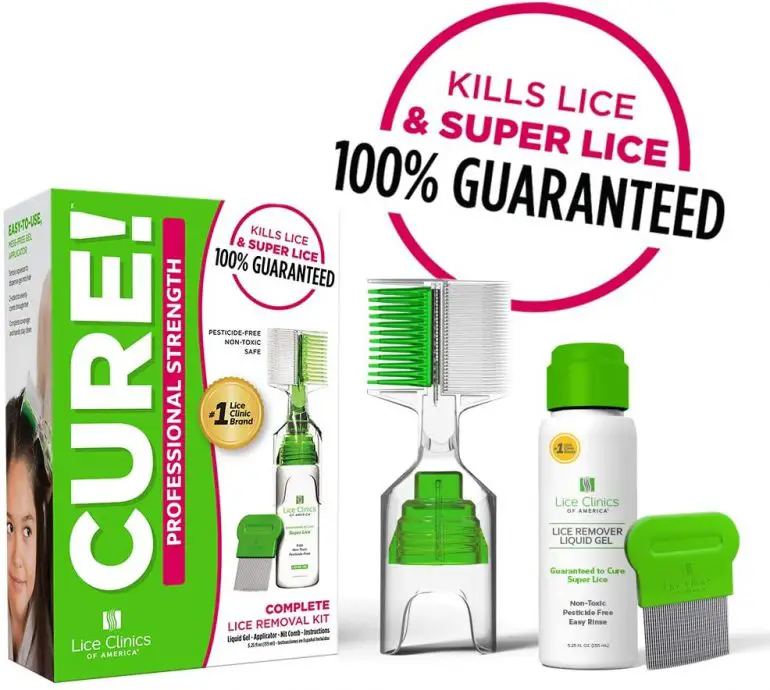 Can Head Lice Live In Beards My Beard Gang