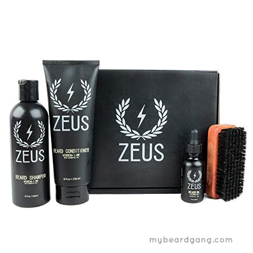 Top Beard Kits For African American Men My Beard Gang