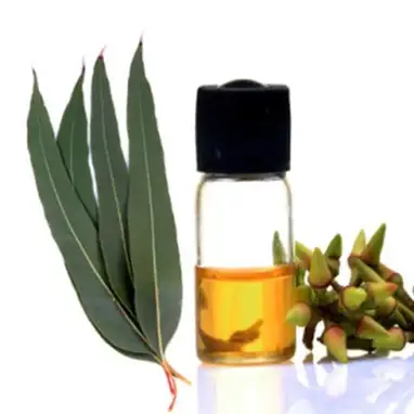 Eucalyptus Oil For Beard Growth My Beard Gang