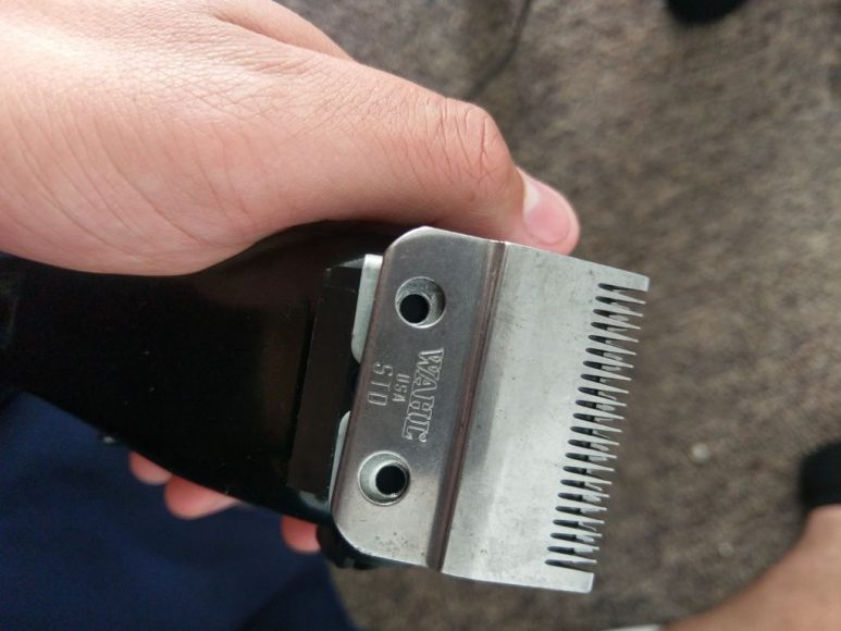 How to Sharpen Clipper Blades With Sandpaper My Beard Gang