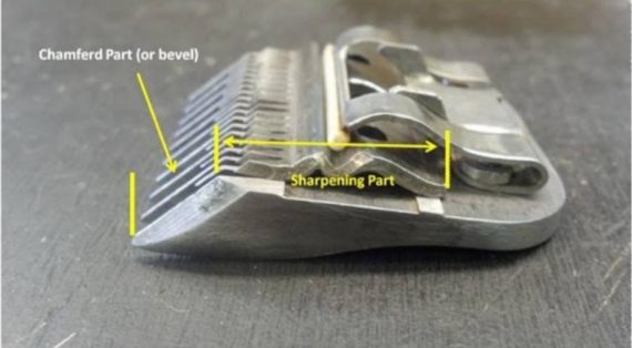 sacramento area clipper blade sharpening