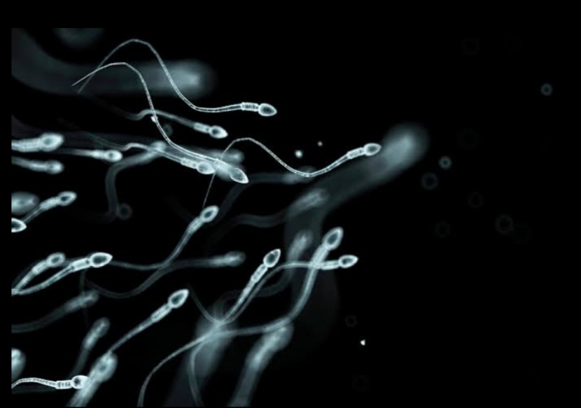 Sperm Facial Hair