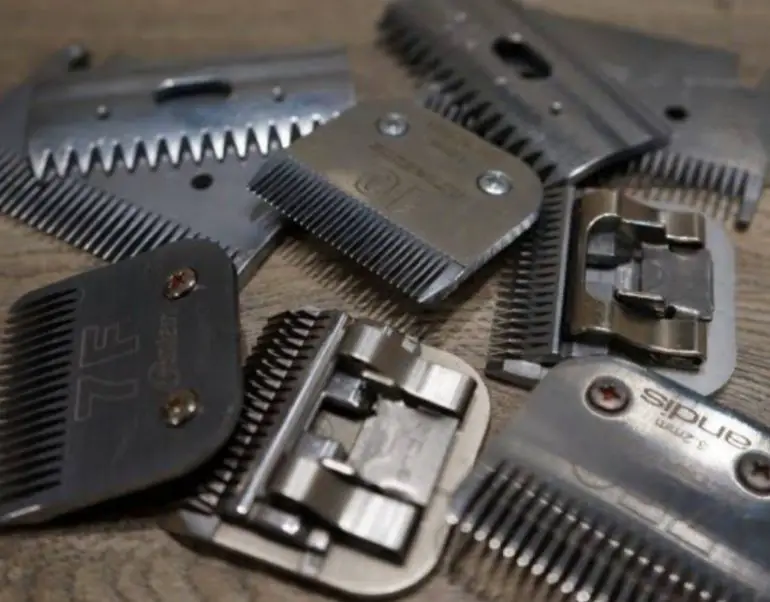 Sharpening Clipper Blades With Salt (How You Should Do It) My Beard Gang