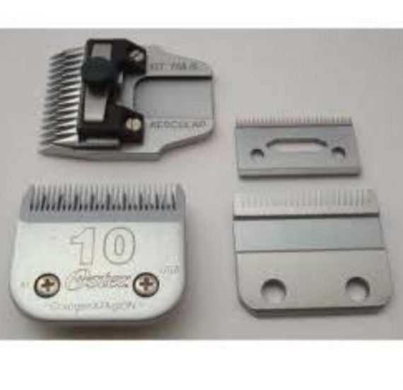 Sharpening Clipper Blades With Salt (How You Should Do It) My Beard Gang